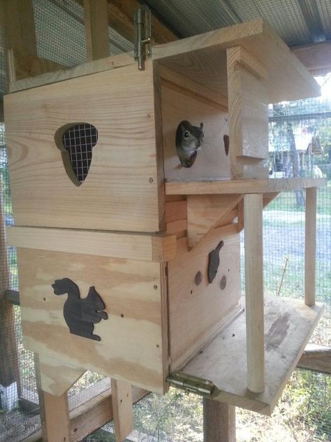 Custom squirrel Houses Squirrel House Plans, Squirrel Feeder Diy, Squirrel House, Squirrel Home, Squirrel Food, Squirrel Feeders, Grey Squirrel, Squirrel Feeder, Bird House Feeder