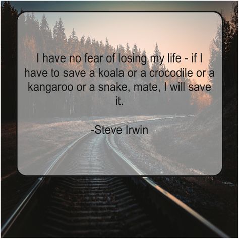 Steve Irwin Tattoo Ideas, Steve Irwin Quotes, Zoology Books, Wildlife Quotes, Prove Myself, Conservative Quotes, Ann Curry, Anne Sullivan, Amy Sedaris