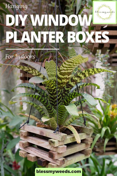 Hanging DIY Window Planter Boxes For Indoors ~ Bless My Weeds Diy Window Planter Boxes, Diy Window Planter, Window Planter Box, Hanging Window Boxes, Natural Plant Fertilizer, Diy Planters Indoor, Hanging Planter Boxes, Outside Window, Window Planter