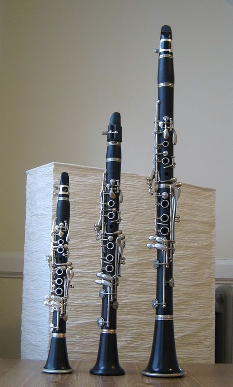 Size comparison among the A♭, E♭, and B♭ clarinets Oboe Aesthetic, Piccolo Instrument, Clarinet Music, Clarinet Sheet Music, Clarinets, Band Jokes, Saxophones, Music Jokes, Band Nerd