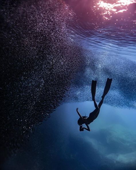 Looking for a unique way to experience the beauty of Malta's coastline? Come snorkel with us in Comino, Blue Lagoon, and Gozo and discover the hidden treasures that lie beneath the surface! Thanks @vitadasirena for sharing your photo with us. #snorkeling #travel #underwater #sea #beach #ocean #underwaterphotography #nature #adventure #snorkel #freediving #travelphotography #photography #dive #underwaterworld #paradise #trip #visitmalta #bluelagoonmalta #visitbluelagoonmalta Malta Beaches, Underwater Sea, Free Diving, Beneath The Surface, Nature Adventure, Beautiful Sunrise, Sea Beach, Underwater Photography, Blue Lagoon