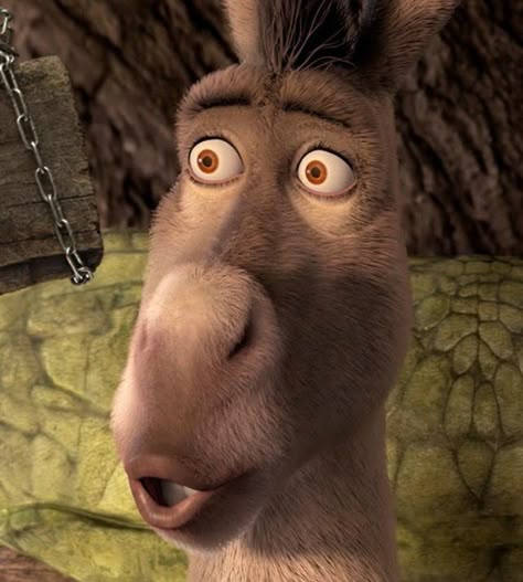 Donkey From Shrek Wallpaper, Shrek Donkey And Cat, Donkey Quotes Shrek, Horses Drawings, Donkey From Shrek, Donkey Shrek The Musical, Donkey And Dragon, Shrek Donkey, Shrek Funny