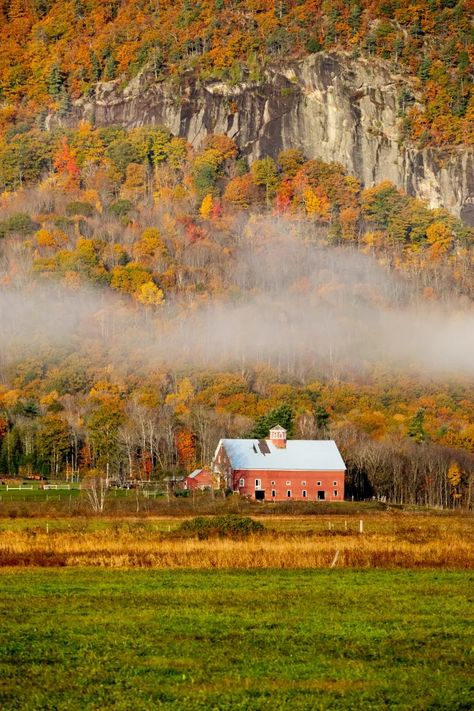 These 4 foliage tours traverse the range of Maine landscapes Maine Landscape, Guided Art, Newspaper Archives, High School Sports, Event Calendar, Portland, A Couple, Maine, Things To Do