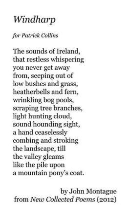 Windharp. Tells the story of the Irish countryside. This vivid imagery stood out to me while reading it in Ireland and shocked me how closely it resembled the island. To this day one of my favorite poems that bring me back to my homes. Irish Poetry, Irish Poems, Home Poem, Favorite Poems, Bring Me Back, Irish Countryside, Poetry Quotes, The Story, My Favorite