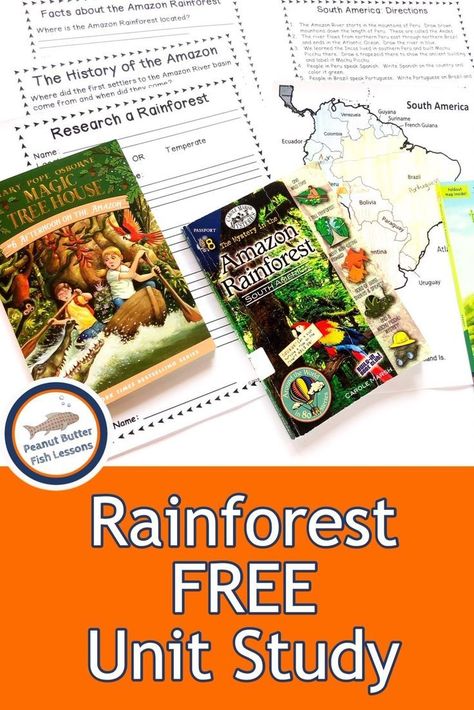 Check out these books, notebooking pages, videos and more to learn all about the rainforest!  #peanutbutterfishlessons #biomes #rainforest #amazon #summerreading #freeprintable #unitstudy Rainforest Amazon, Culture Studies, Free Unit Study, Homeschool Units, Multisensory Learning, Rainforest Project, Rainforest Activities, Rainforest Biome, Butter Fish