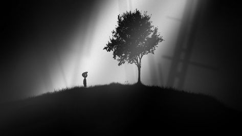 #sunlight #trees #Limbo #monochrome #1080P #wallpaper #hdwallpaper #desktop Limbo Game, Monochrome Wallpaper, Palm Trees Beach, Bare Tree, Tree Wallpaper, Photo Tree, Original Wallpaper, Free Hd Wallpapers, Indie Games