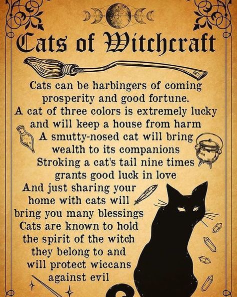 Witchcraft Poster, Black Cat Poster, Witch Wall Art, Witch Poster, Cat Love Quotes, Wicca Recipes, Witch Home, Witch Home Decor, Witchcraft Spells For Beginners