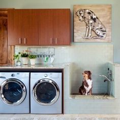 Take your laundry room to the next level with a pet shower area. The whole family—including Fido—deserve clean coats. (And that mini shower doubles as a foot rinsing station for humans, too.) Stylish Laundry Room, Dog Washing Station, Dog Spaces, Dream Laundry Room, Mudroom Laundry Room, Laundry Room Ideas, Laundry Room Remodel, Laundry Room Inspiration, Dog Wash