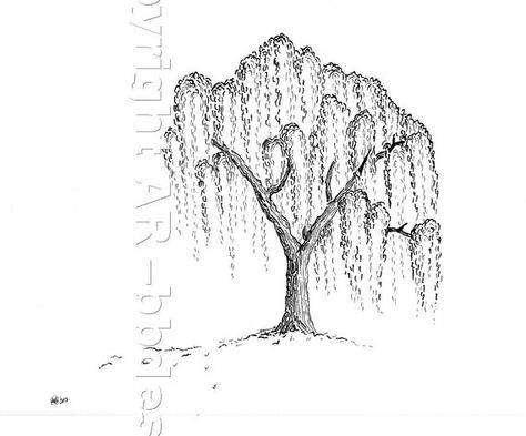 Willow Tree - Limited Ed Digital Print of Original Ink Drawing Willow Tree Drawing, Willow Tree Tattoo, Boom Kunst, Backpiece Tattoo, Willow Tree Tattoos, Tree Tattoos, Tree Drawings Pencil, Tasteful Tattoos, Tree Sketches