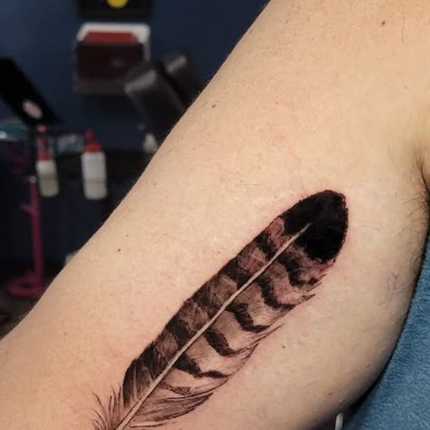 Redtail Hawk Feather Tattoo, Turkey Feather Tattoo For Women, Red Tailed Hawk Feather Tattoo, Feather Tattoo On Arm, Western Feather Tattoo, Yallternative Tattoo, Pheasant Feather Tattoo, Blue Jay Feather Tattoo, Turkey Feather Tattoo