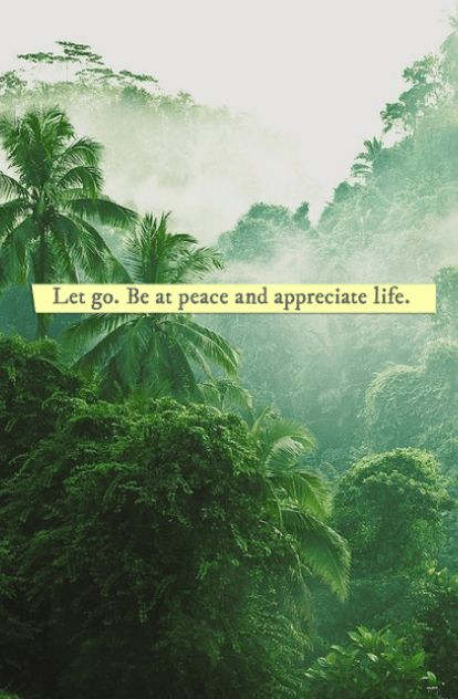 #quotes #inspirational #positive #smart #life Peace And Calm, Be At Peace, Appreciate Life, Life Poster, At Peace, Quotes About Strength, Inspiring Quotes, Let Go, The Words