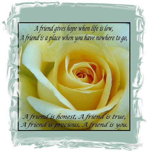 Yellow Rose with Friendship Poem.  Photo and Design by Jennifer Desbiens Flower Quotes Friendship, Flower Friendship Quotes, Flowers That Mean Friendship, Yellow Roses Quotes, Long Friendship Quotes, Rose Flower Quotes, Rose Poems, Meaningful Friendship Quotes, Friendship Rose