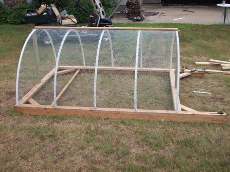 Why I hope to never again build a PVC run or tractor...pics | BackYard Chickens - Learn How to Raise Chickens Pvc Chicken Tractor, Hoop House Chickens, Permaculture Orchard, Bunny Houses, Building A Chicken Run, Chicken Coop Plans Free, Catio Ideas, Chicken Coop Pallets, Homesteading Animals