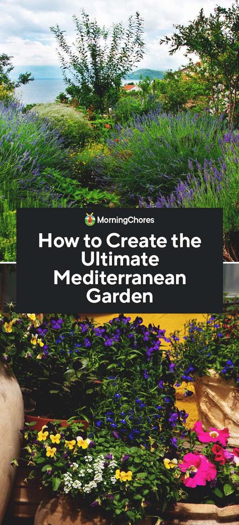 How to Create the Ultimate Mediterranean Garden Mediterranean Hillside Garden, Small Mediterranean Patio Ideas, Low Maintenance Mediterranean Garden, Uk Mediterranean Garden, Italian Garden Plants, Mediterranean Front Courtyard, Rustic Mediterranean Garden, Spanish Mediterranean Backyard, Medeteranian Landscape