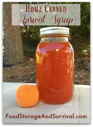 Making and canning delicious apricot syrup! Step by step directions here! Peach Syrup For Canning, Apricot Syrup Recipe, Canning Apricots, Apricot Sauce Recipe, Apricot Syrup, Canning Syrup, Pancake Syrup Recipe, Canning Granny, Making Jelly