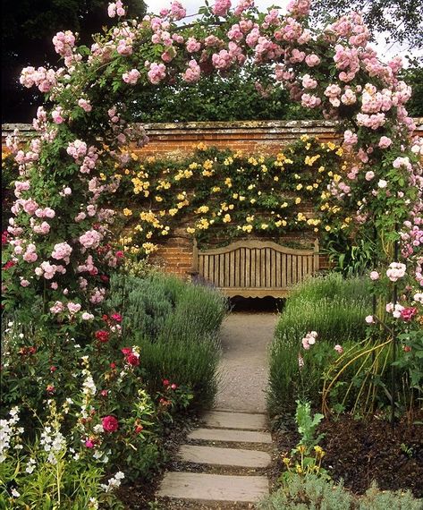 Rose Pergola, Romantic Gardens, Garden Seat, Rose Gardens, Hampshire Uk, Flowers Growing, Pergola Garden, Cottage Garden Design, Garden Architecture