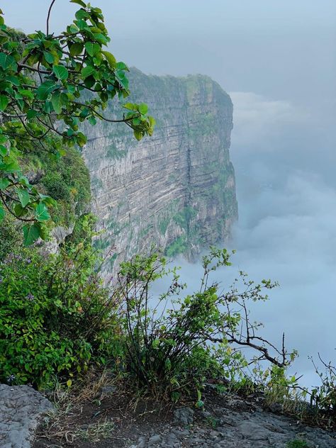 #oman #salalah#Dalkut #shaat Salalah Oman, Salalah, Types Of Photography, Hair Dye, Oman, Hair Hair, Dye, Natural Landmarks, Photography