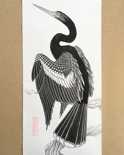 Bird Legs Drawing Reference, Vintage Crane Illustration, Asian Bird Art, Anhinga Tattoo, Cormorant Tattoo Design, Cormorant Art, Stingray Illustration, Heron Drawing, Loon Tattoo