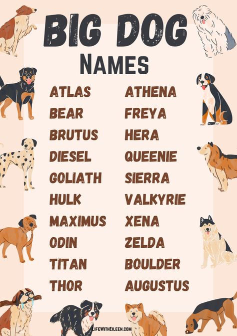 Looking for the perfect name for your large dog? Whether you want a strong and powerful name like Titan or Xena or a regal and majestic name like Duke or Victoria, this list has plenty of big dog name ideas to match your pup’s grand presence. Find the perfect name for your gentle giant today! name ideas Big Dog Names, Majestic Names, Powerful Names, Big Dog, Gentle Giant, Dog Names, Big Dogs, Large Dogs, Dogs