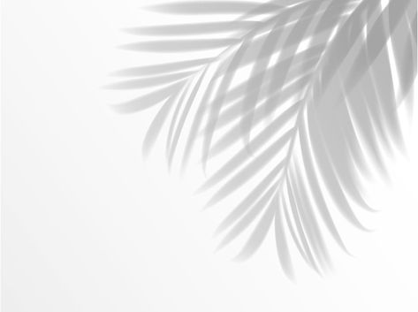 Leaves Shadow Background, Leaf Shadow Background, Palm Leaf Shadow, Palm Tree Shadow, Palm Shadow, Plant Shadow, Leaves Shadow, Shadow Texture, Shadow Flower