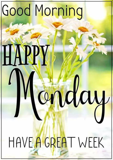 Happy Monday Images, Monday Wishes, Good Morning Monday Images, Weekend Greetings, Happy Monday Morning, Monday Images, Good Morning Happy Monday, Hello Monday, Good Morning Friends Quotes