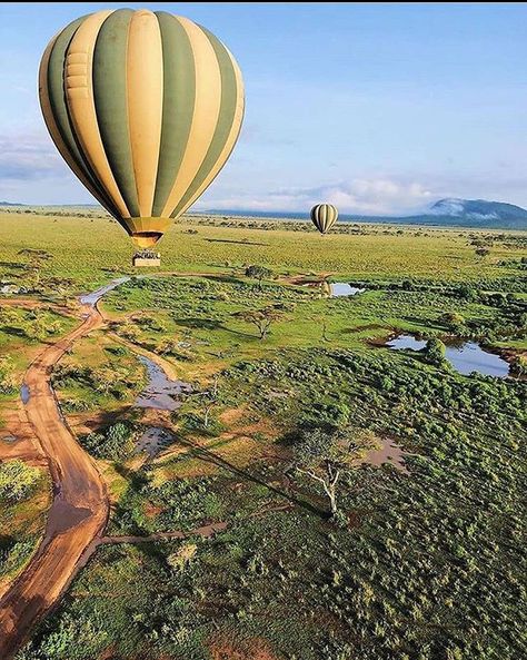 Swahili Culture, Wildebeest Migration, Tanzania Travel, The Great Migration, Kenya Safari, Tanzania Safari, Serengeti National Park, Beautiful Places On Earth, Africa Travel