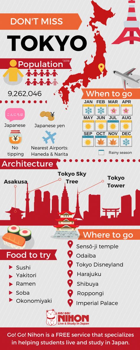 Do you want to live in the most exciting and vibrant city in Japan - Tokyo? We have many schools you can choose from in the heart of the capital. . . . . . . . Tokyo Japan. Travel Guide Japan. Japan Infographic. Travel to Japan things to do. Japan Bucket list. What to visit in Tokyo. What to eat in Tokyo. Tokyo food. #travelbucketlist Japan Infographic, Tokyo Japan Travel Guide, City In Japan, Travel To Japan, Japan Tourism, Tokyo Food, Japan Bucket List, Bahasa Jepun, Materi Bahasa Jepang