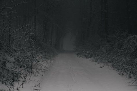 Dark Naturalism, I Love Snow, Dark Paradise, Winter Scenery, Six Feet Under, Winter Aesthetic, Nature Aesthetic, In The Woods, Pretty Pictures