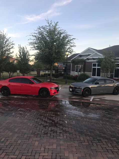 His and Hers 2018 Dodge Charger SXT Matching Cars His And Hers, Matching Cars, Chevy Silverado Ss, Black Dodge Charger, 2023 Board, Car Vibes, 2018 Dodge Charger, Charger Sxt, Money Counter