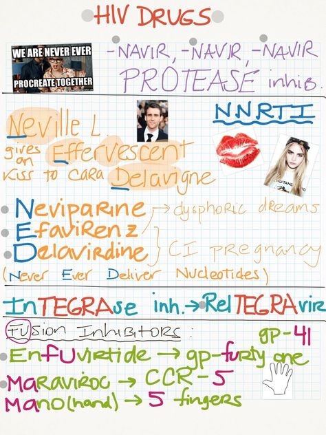 Immune System Nursing, Antibiotics Pharmacology, Immunity Nursing, Med Surge, Nerdy Nurse, Physician Assistant School, Med Surg Nursing, Nursing School Essential, Medicine Notes