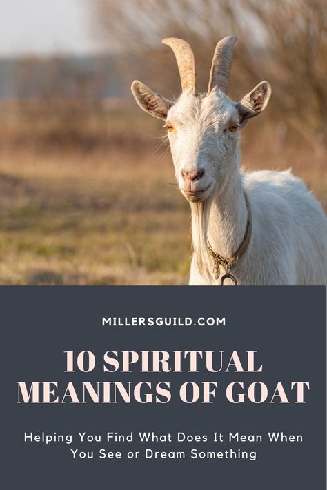 10 Spiritual Meanings of Goat 1 Goat Spiritual Meaning, Goat Spirit Animal Meaning, Goat Symbolism, Animals Symbolism, Goat Meaning, Ibex Goat, Spirit Animal Meaning, Animal Meanings, Spiritual Animal