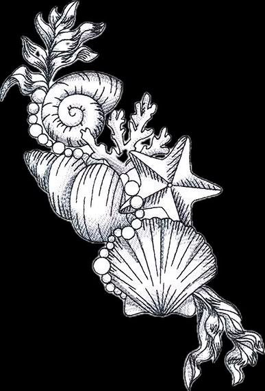 Seashell Shoulder Tattoo, Cute Seashell Drawing, Seashell Tattoo Sleeve, Ocean Theme Sleeve Tattoo, Unique Beach Tattoos, Treasure Tattoo Ideas, Unique Pretty Tattoos Beautiful, Beach Themed Tattoos For Women, Sea Sleeve Tattoo