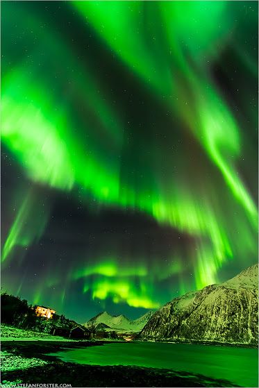 Sun Storm | Photography by Stefan Forster | www.stefanforster.com | #auroraborealis #northernlights #norway Green Lights, Southern Lights, Northern Lights (aurora Borealis), Northern Light, Aurora Borealis Northern Lights, Tromso, The Aurora, Tumblr Wallpaper, The Night Sky