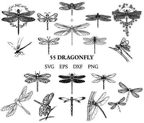 Svg Dragonfly, Quilled Butterflies, Dragonfly Art Nouveau, Dragonfly Vector, Dragonfly Svg, Headstone Ideas, Dragonfly Clipart, Small Dragonfly Tattoo, Forest Vibes