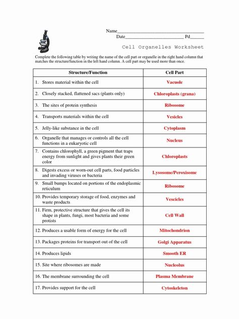 Collection Of Cell Organelles Worksheet Answer Key Biology