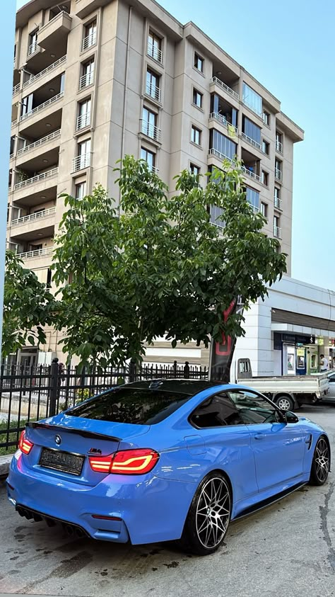 Bmw F82 M4 Wallpaper, Bmw M4 F82 Wallpaper, Bmw Wallpaper, Bmw M4 F82, Blue Bmw, M4 F82, M3 E46, Moto Car, Funny Hamsters