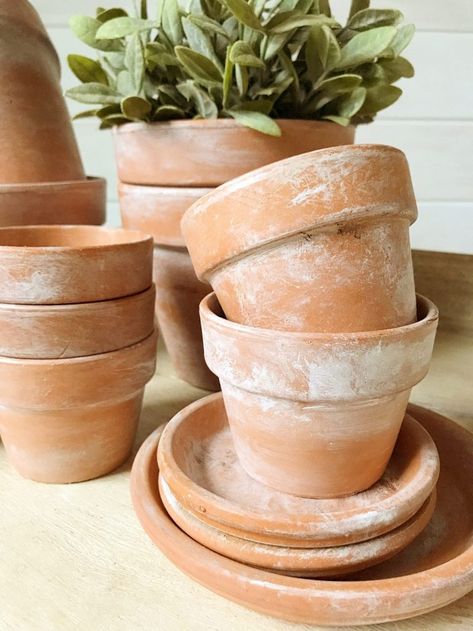 Aging Terra Cotta Pots, Terra Cotta Pots, Terra Cotta Pot Crafts, Painted Terra Cotta Pots, Fragrant Plant, Painting Trim, Painted Pots, Faux Plants, Crafty Diy