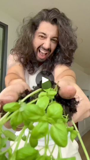 818K views · 25K reactions | 3 Plants anyone can grow from store-bought produce! 😲🌱
.
.
.
.
#plants #howto #plants #growyourownfood #diy #lifehacks #gardeningtips #gardening | By creative explained | Facebook Creative Explained, Garden Hacks Diy, Survival Foods, Growing Ginger, Growing Garden, Helpful Hacks, Vegetable Garden Diy, Hot House, Growing Gardens