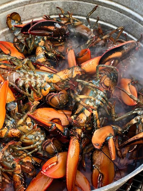 Maine Foodways and a Lobster Bake on the Beach - She's Cookin' | food and travel Steak And Lobster, Lobster Bake, Blueberry Season, Sea Shanties, Clam Bake, Maine Lobster, Food And Travel, Newport Beach, Main Meals