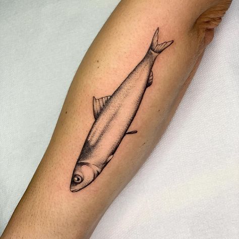 Anchovy Fish Tattoo, Simple Anchovy Fish Tattoo, Small Anchovy Fish Tattoo, anchovy fish tattoo ideas, anchovy fish tattoo small, anchovy fish tattoo designs, anchovy fish tattoo on thigh, outline anchovy fish tattoo, anchovy fish tattoo behind ear, anchovy fish tattoo men, anchovy fish tattoo design, female anchovy fish tattoo, anchovy fish tattoo color, small fish tattoo, simple fish tattoo, big fish tattoo, black fish tattoo,traditional fish tattoo,fish girl drawing,chinese fish tattoo Cool Fish Tattoos For Men, Halibut Tattoo, Fish Tattoo On Thigh, Fine Line Fish Tattoo, Anchovy Tattoo, Fish Tattoo Behind Ear, Fish Tattoo Men, Fish Tattoo For Men, Fish Tattoo Color