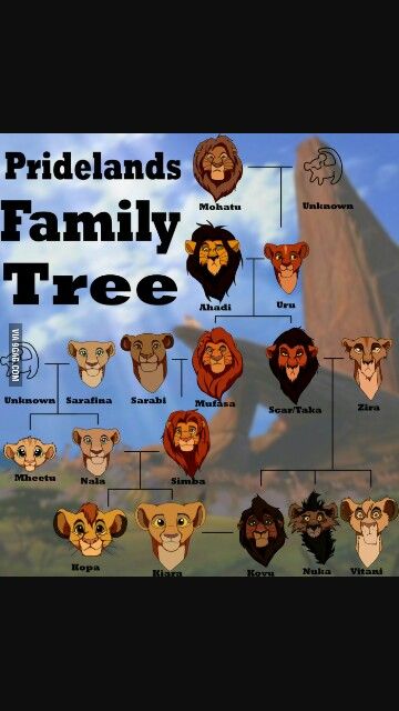 Who knew that Simba and Nala were cousins making Kovu and Kiara cousins too Lion King Family Tree, Lion King Family, Kiara Lion King, Kiara And Kovu, Disney Theory, Il Re Leone, Images Disney, Disney Facts, Lion Guard