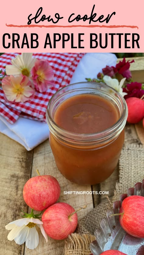 Maple spiced crab apple butter is an easy canning recipe to cook up in the slow cooker or crock pot.  Yes, it's glorified applesauce, but it's so delicious you won't care. #crabapple #applebutter #slowcooker #crockpot Crab Apple Preserves, Crab Apple Canning Recipes, What To Make With Crab Apples, Crab Apple Butter Recipes, Crab Apple Recipes Easy, Crab Apple Butter Crock Pot, Spiced Crab Apple Recipes, Crab Apple Apple Butter, Crab Apple Jam Recipe