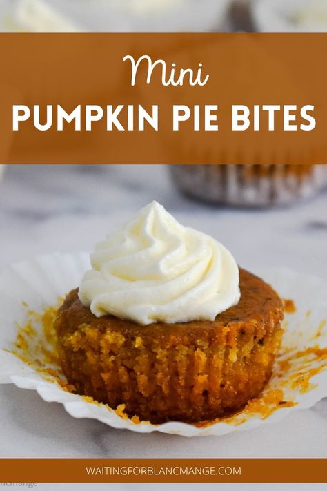 Mini pumpkin pie with dollop of whipped cream. Pumpkin Dessert With Ginger Snap Crust, Ginger Snap Pie Crust Pumpkin Pie, Pumpkin Pie Gingersnap Crust, Mini Pumpkin Pies In Cupcake Tin, Gingersnap Crust Pumpkin Pie, Individual Pumpkin Pie, Pumpkin Pie Bites, Ginger Spice Cookies, Mini Pumpkin Pie