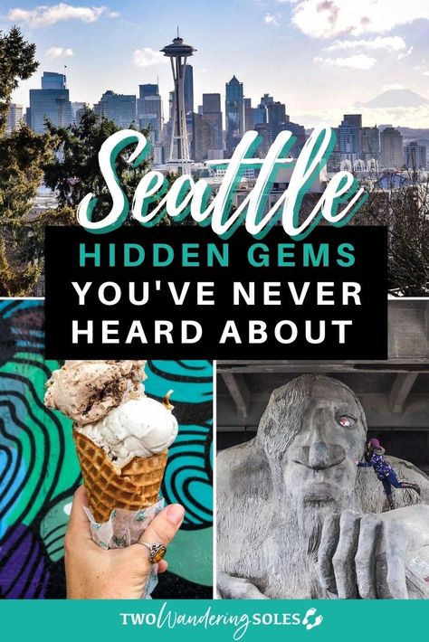 Seattle Activities, Travel Seattle, Seattle Travel Guide, Checklist Travel, Things To Do In Seattle, Seattle Vacation, Seattle Aquarium, Seattle Travel, Washington Travel