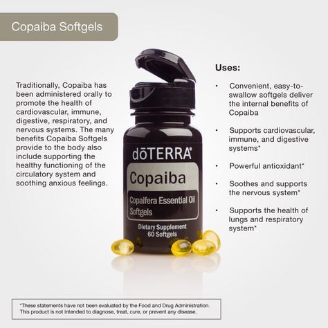 Immortelle Doterra, Doterra Cholesterol Blend, Doterra Antiinflammatory, Doterra Antibiotic Capsule, Copaiba Oil, Copaiba Essential Oil, Doterra Oils Recipes, Are Essential Oils Safe, Essential Oil Education