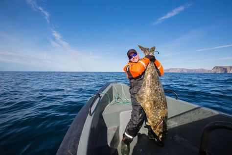 Looking for ways to up your game out on the water? Here are a few things you can do to take your fishing skills to the next level! Fishing In Alaska, Alaska Day, Halibut Fishing, Homer Alaska, Best Fishing Rods, Best Time To Eat, Alaska Fishing, Fall Camping, Fishing Adventure