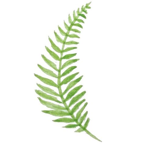 Fern Watercolor, Woodland Stickers, Villa Decor, Plate Painting, Fern Tattoo, Cornhole Designs, Art Plants, Nike Art, Art Elements