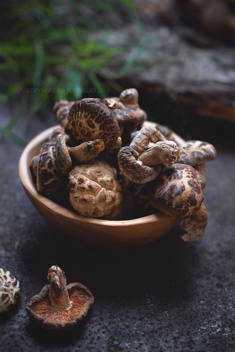 Dried Shitake Mushroom Moodboard Reference, Farm Meals, Shitake Mushrooms, Mushroom Cottage, Shitake Mushroom, Dried Mushrooms, Wood Elf, Head Shots, Shiitake Mushroom