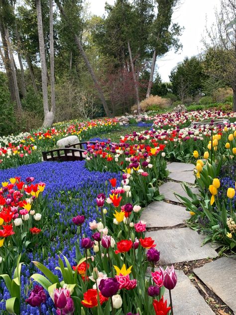 Buchart Gardens, Grand Hotel Mackinac Island, Mackinaw Island, Mackinac Island Michigan, Northern Island, Mackinaw City, Senior Trip, Island Decor, Grand Rapids Michigan