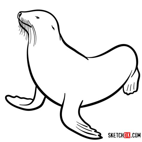 How to draw a Sea lion | Sea Animals How To Draw A Seal, Sea Lion Drawing, Sea Lion Art, Seal Drawing, Lion Drawing Simple, Draw An Elephant, Draw Sea, Simply Draw, Draw Rose